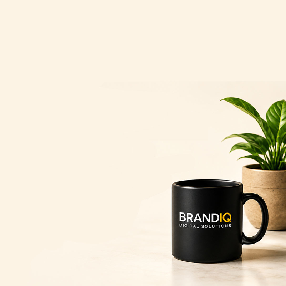 BrandIQ branding studio